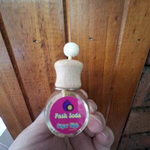 Pash Soda Car Diffuser